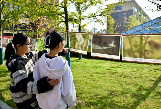 /uploads/image/2025/10/28/c6d25ed64061ee5d942bf6e204a86680.png image.png