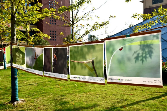 /uploads/image/2025/10/28/b9e6363635acc874ab122433c384afc6.png image.png