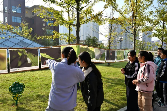 /uploads/image/2025/10/28/ab1272191d2b3139b132dbd28288faf1.png image.png