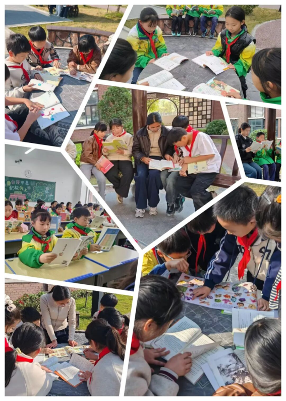 /uploads/image/2025/11/21/e349850534e056e22202c047b93c48e6.png image.png